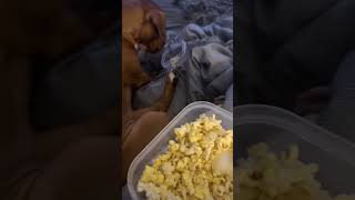 Pet Parent Shares Popcorn With Pup!