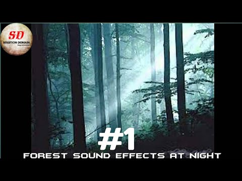 forest-sound-effects-at-night-2018