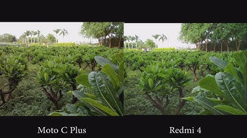 Moto C Plus vs Redmi 4 Camera comparison
