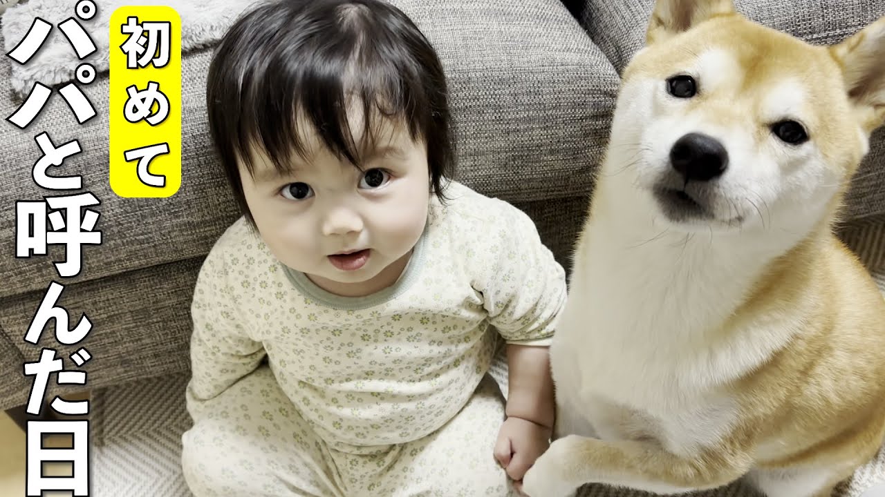Dad is touched] The moment when his 1-year-old finally called him
