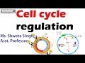 Regulation of cell cycle, Cell Biology (B.Sc.& M.Sc. Biotechnology)