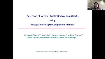 DaSSWeb - Detection of Internet Traffic Redirection Attacks using Histogram PCA