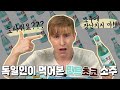 왜 민초에 열광하는지 이해 못하는 독일인의 민초 먹방 (feat. 민트초코소주)