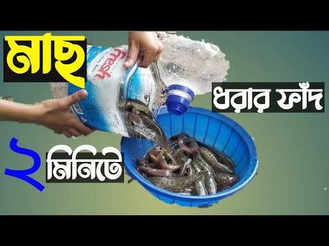 বোতল দিয়ে মাছ ধরার ফাঁদ তৈরী  || Bottle making fishing traps.