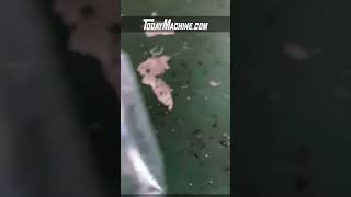 automatic linear weigher weigh filling multi-function packing machine packaging machines