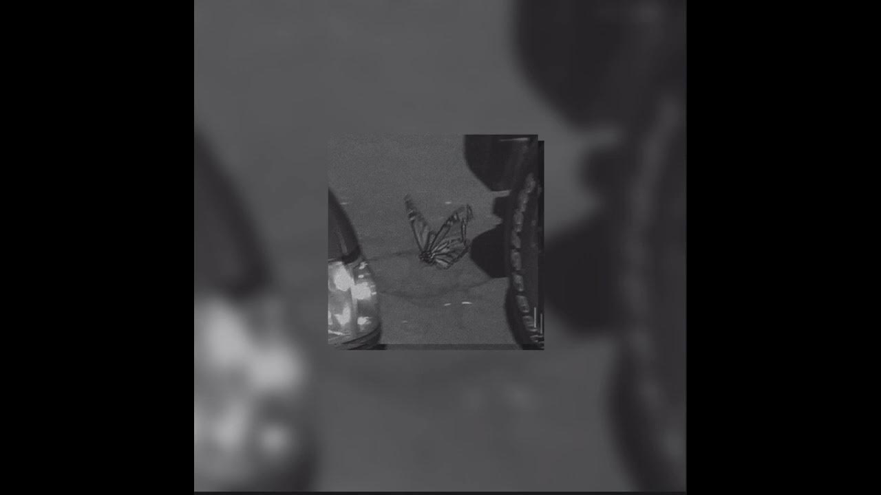 6ix9ine stoopid. 6ix9ine gooba. Yelan wallpaper. Mala 6ix9ine speed up. Bebe - 6ix9ine ft.