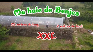 Ma haie de Benjes Géante 22 mètres de long ! Le plus gros projet du potager cette année