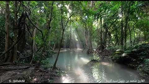 القارئ محمد بن جميل سيد كريم ، ولد بمكة المكرمة، مقام الحجاز ، الآية 35 من سورة النور