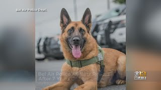 Bel Air Police K9 Blitz Retires After 7 Years