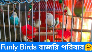 Funly Birds is live!