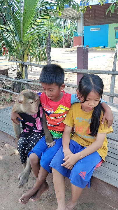 Perfect SokYaa,OG, ToTo Animals Are So Awesome #shorts