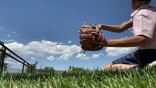 Guessing pitches