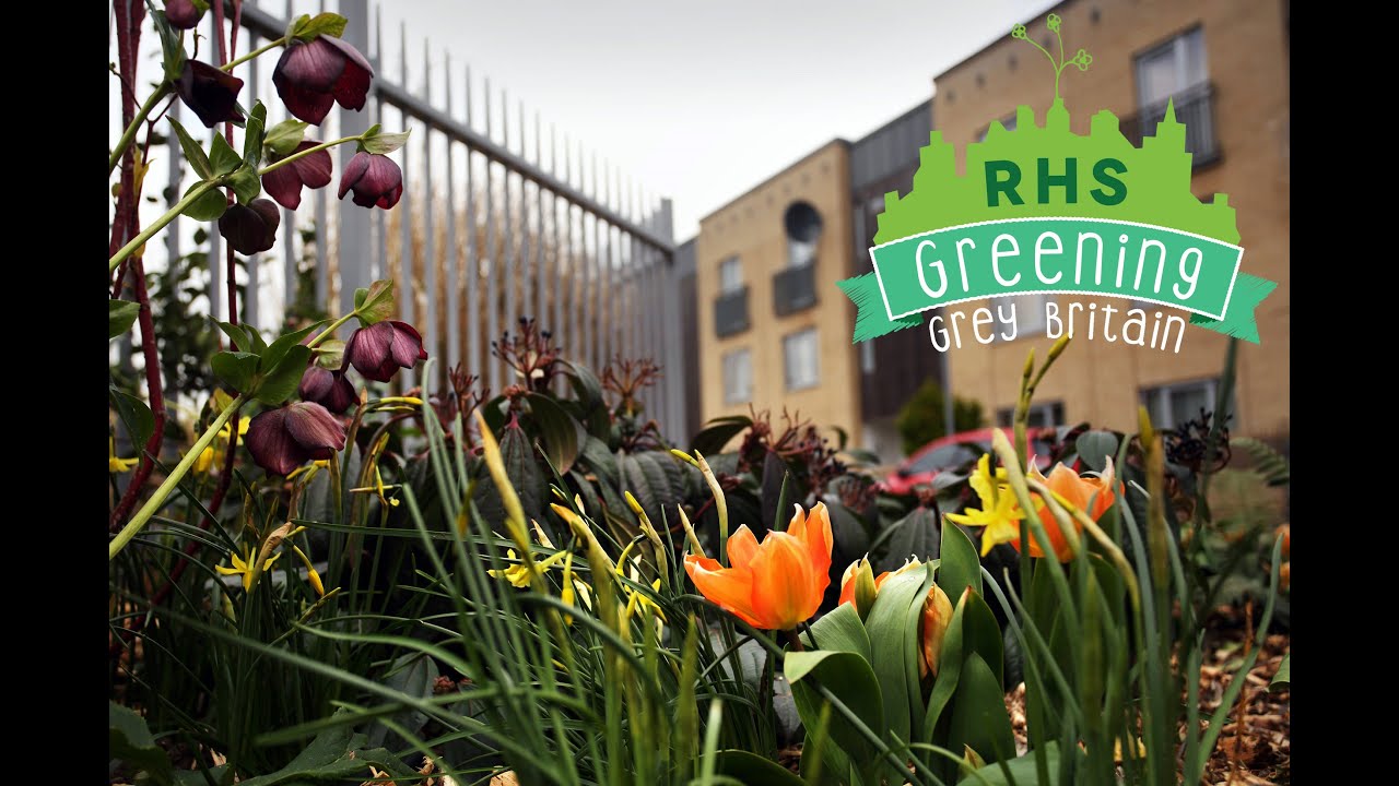 RHS Greening Grey Britain Front Garden Summit | Greening Great Britain | Royal Horticultural Society