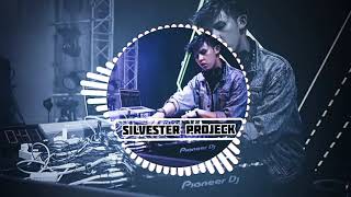 Lagu dj terbaru 2019 'TASYA' tangan dan syabun Bass Beat by SILVESTER PROJECK™
