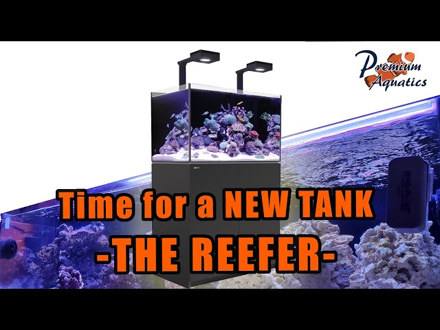 Intro to New Tank Series - Red Sea Reefer 250 Deluxe - YouTube