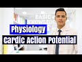 Basic knowledge | Physiology | Cardiac Action Potential