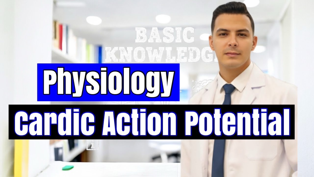 Basic knowledge | Physiology |  Cardiac Action Potential