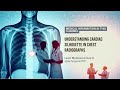 Cardiac Silhouette in | Chest Radiography | Heart Shadow on X-ray Explained