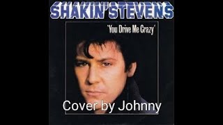 Shakin Stevens - You Drive Me Crazy / KORG Pa4X Pro Cover by Johnny /