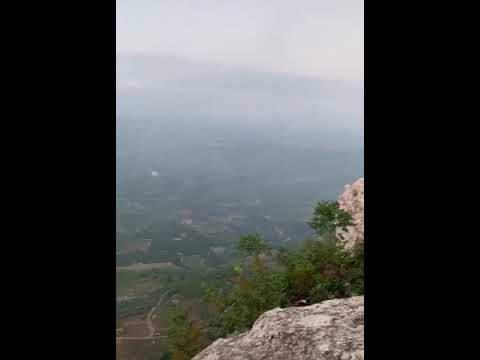 فايق يا هوى فيروز