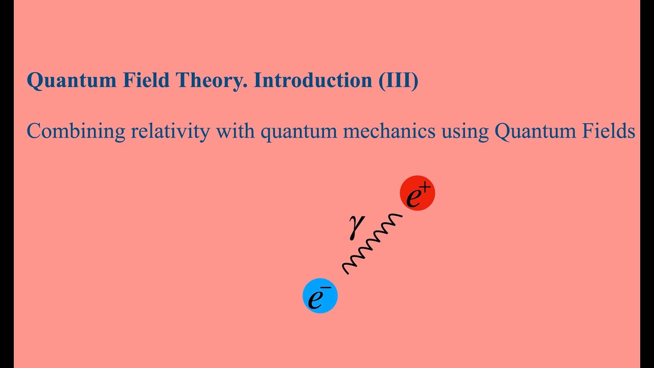 Lecture 3: Quantum Field Theory. Introduction (III)