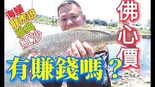 收費一小時50元!!彰化西濱61大自然海釣場! !!魚可以全部帶走! 