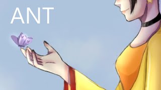 Ant