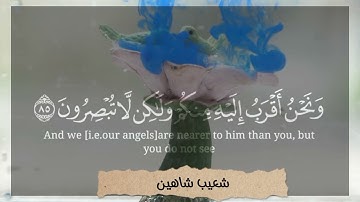 فلولا إذا بلغت الحلقوم القارئ احمد خضر