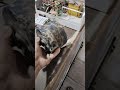 #shortvideo#villagelife