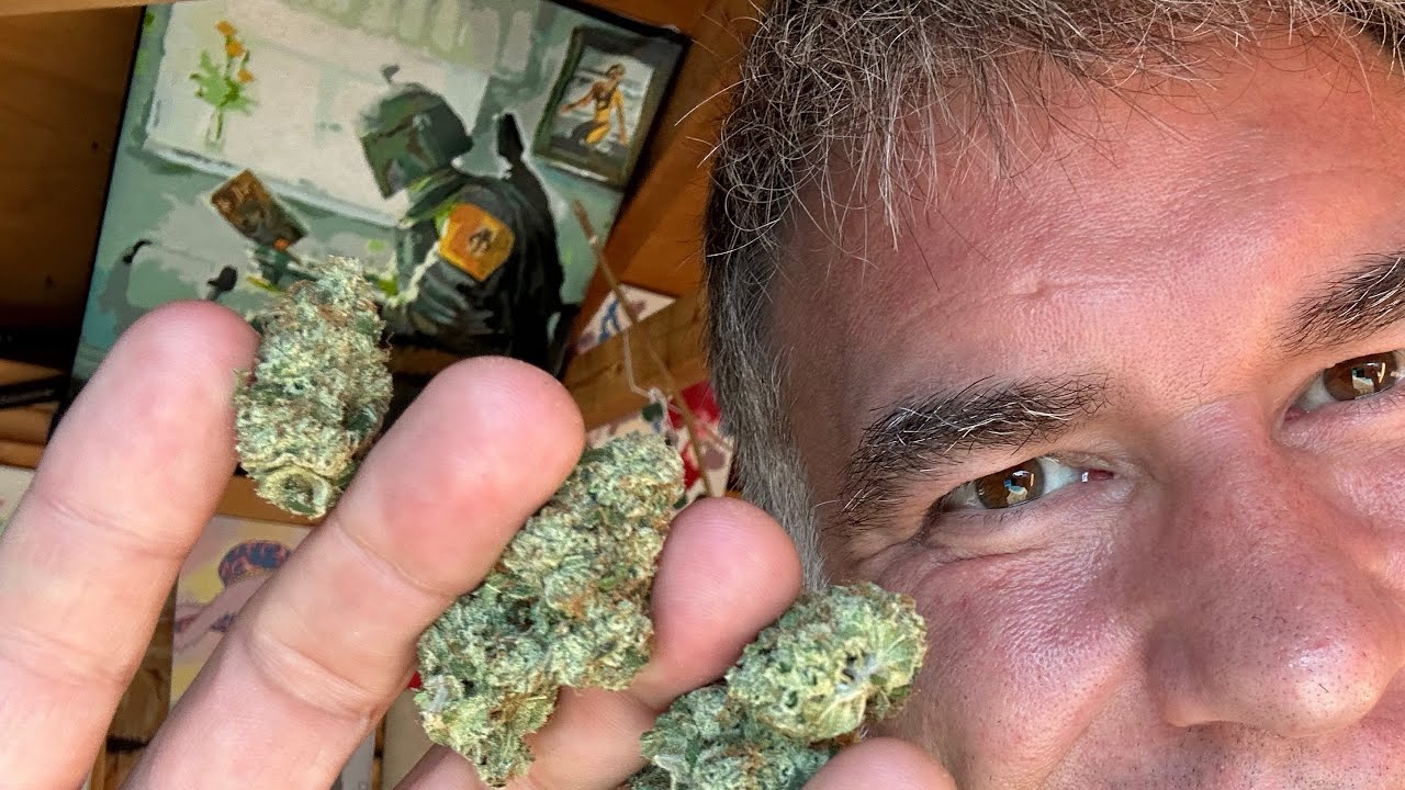 2023 10 04 The Shed! with Frost Cannabis Rotating Strain 91’ Royal 3.5g