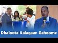 Badhaadhina Yaadamu Milkeessuuf Dhaloota Kalaqaa Murteessaadha 