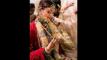 Nayanthara❤️Vignesh | wedding Album| #shorts #shortsvideo #wedding #weddingdress #nayanthara #wikki