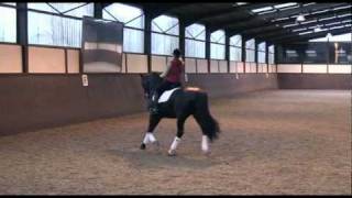 Maria and Ferdi Eilberg work on building Rockstar's trot TRAILER