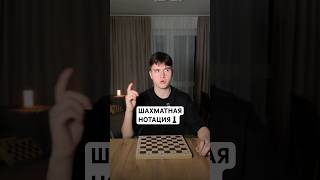 тгк: Шахматы с Тимуром (ссылка в шапке)♟️Для записи на занятия - пишите в тг