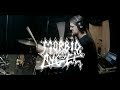 Morbid Angel - Dominate [Drum Cover]