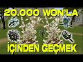 20.000 WONLA İÇERİĞİN İÇİNDEN GEÇMEK !! | Metin2 Charon #8