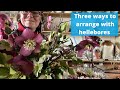 Three ways to make floristry with hellebores