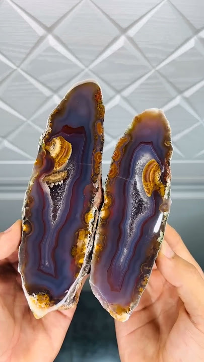 Cutting Open a Crystal Agate Stone – Stunning Inside! #youtubeshorts #agate #crystals