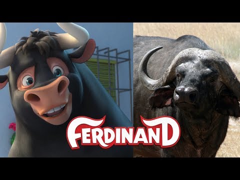 Ferdinand Movie in Real Life | Ferdinand Film im wirklichen Leben | Main Characters | Funny Club