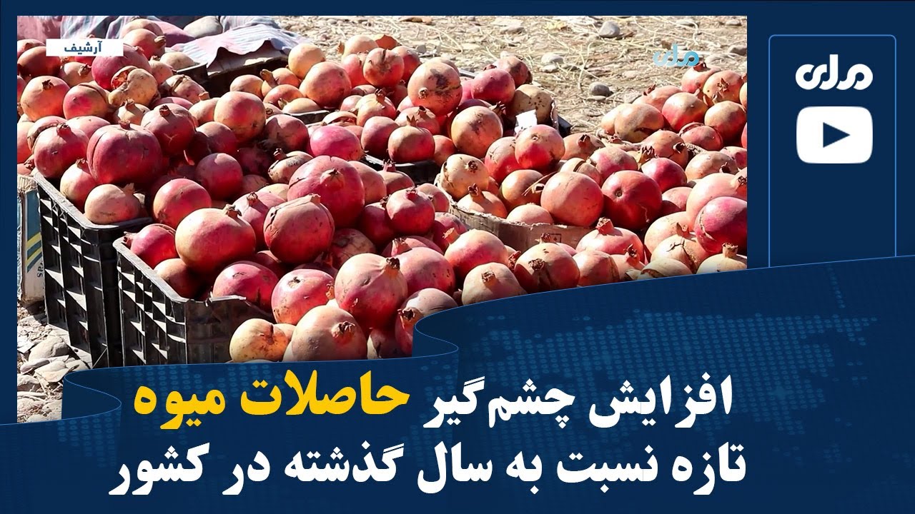 افزایش چشم‌گیر حاصلات میوه تازه نسبت به سال گذشته در کشور