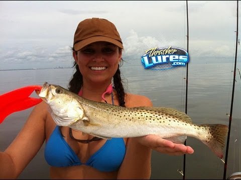 Flats Fishing in Florida! (inshore saltwater fishing) With Thrasher Lures 
