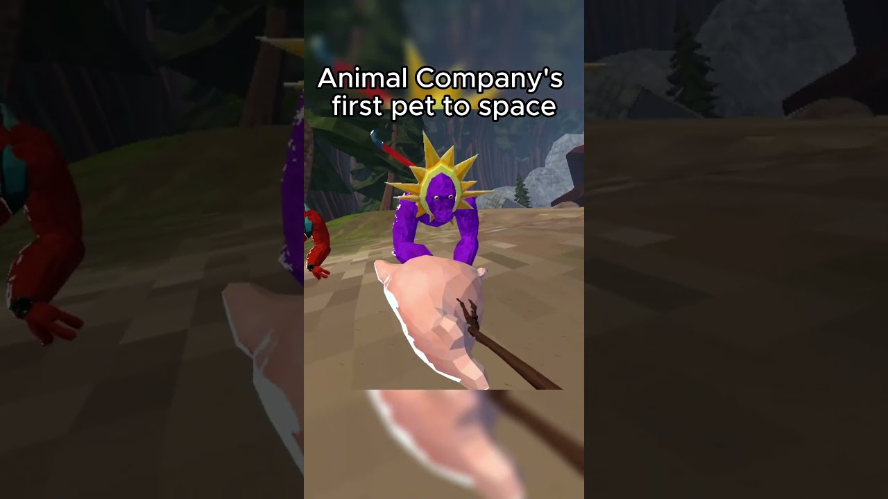 Animal Company S First Pet To Space Gorillatag Vr Shorts Fyp Trending Funny Animalcompany