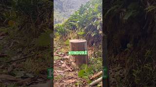 Kunduriiii 🚀 #aile #vlog #tea #rize