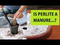 What is perlite and  uses of perlite in garden pottingmix