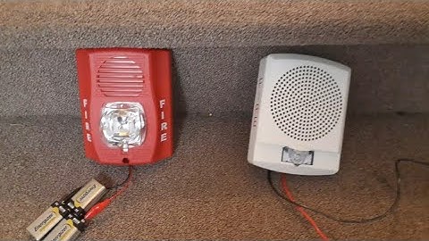 System Sensor SpectrAlert Advance P2RH-LF vs Wheelock LLFHSW LED Exceder