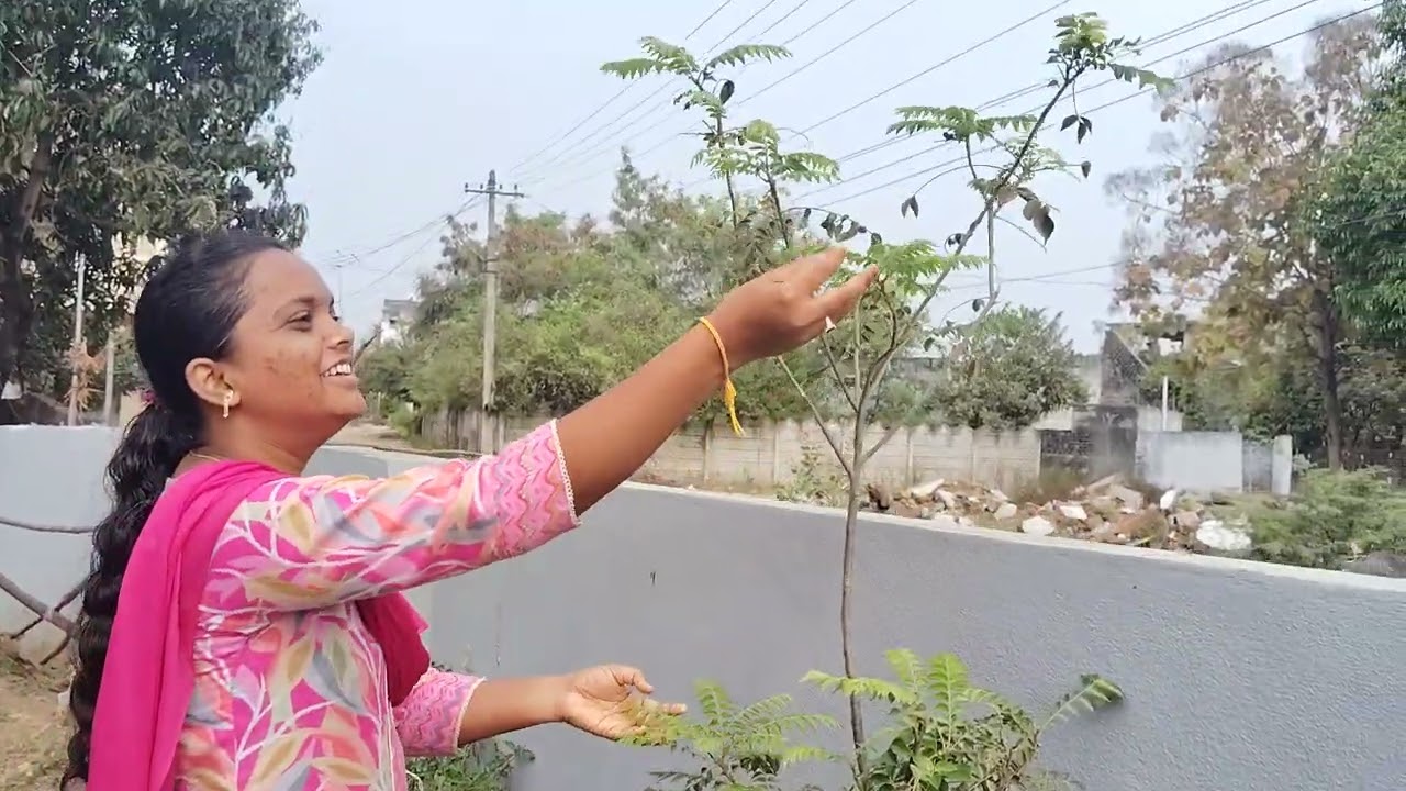 # home garden tour #