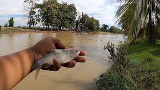 Mengebom di Sungai + Kejutan Bubu |Kedah Malaysia|