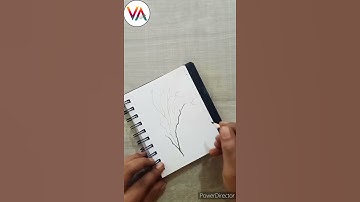 #Shorts | How to draw tree silhouette | Tree branch and bird silhouette | Colour pencil silhouette