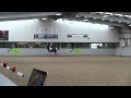Samara Fly Stallion Parade 2013 001