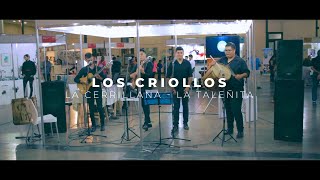 Video thumbnail of "La Cerrillana - La Taleñita LosCriollos Mic (La Rioja)"